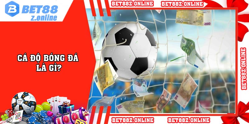 Cá độ bóng đá là gì?