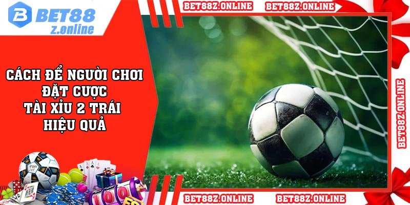 Cách Để Người Chơi Đặt Cược Tài Xỉu 2 Trái Hiệu Quả