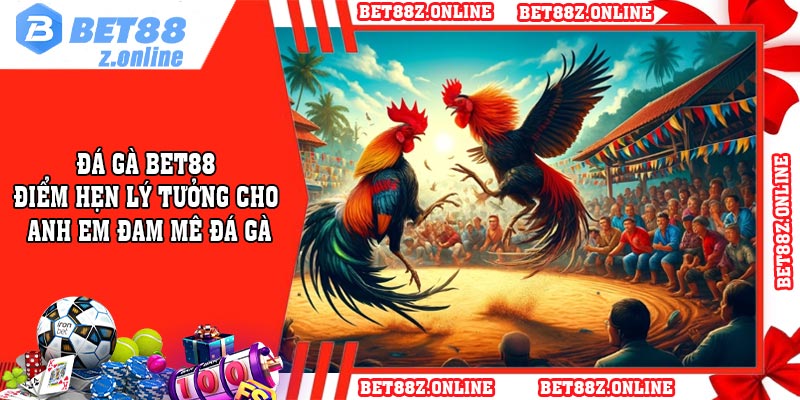 Đá gà BET88 – Điểm hẹn lý tưởng cho anh em đam mê đá gà