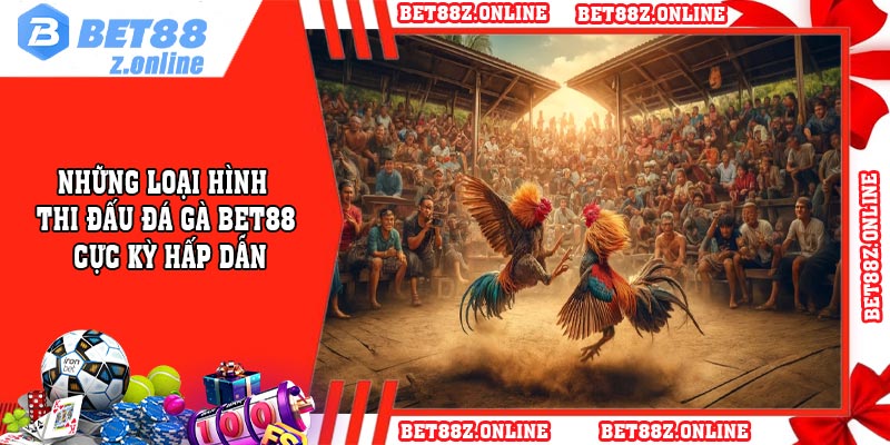 Những loại hình thi đấu đá gà BET88 cực kỳ hấp dẫn