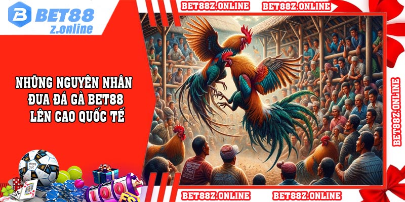 Những nguyên nhân đưa đá gà BET88 lên cao quốc tế