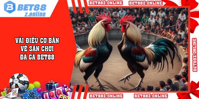 Vài điều cơ bản về sân chơi đá gà BET88